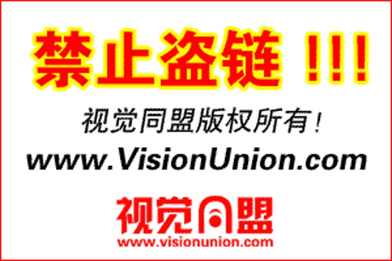 活动策划公司：打造难忘体验的艺术